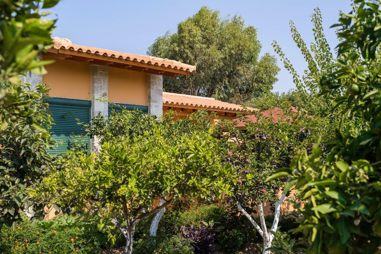 Eleftherias Garden House Afantou Dış mekan fotoğraf