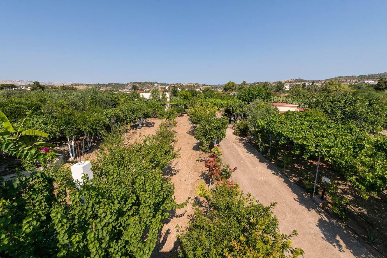 Eleftherias Garden House Afantou Dış mekan fotoğraf